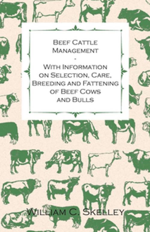Cover of the book Beef Cattle Management - With Information on Selection, Care, Breeding and Fattening of Beef Cows and Bulls by William C. Skelley, Read Books Ltd.