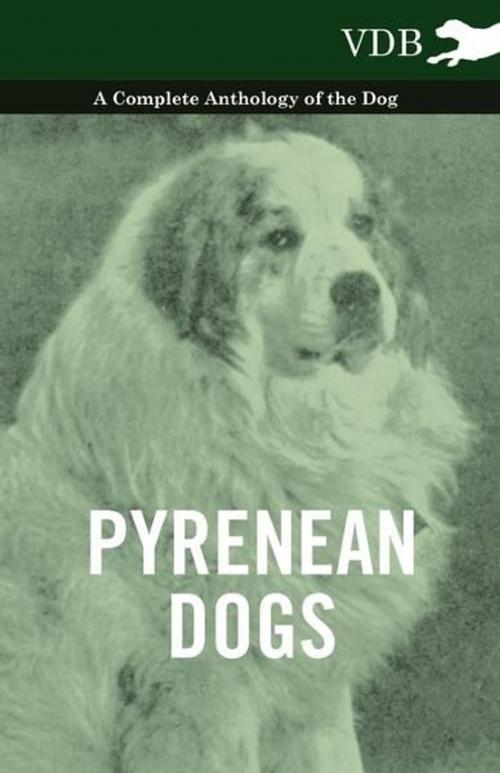 Cover of the book Pyrenean Dogs - A Complete Anthology of the Dog by Various Authors, Read Books Ltd.