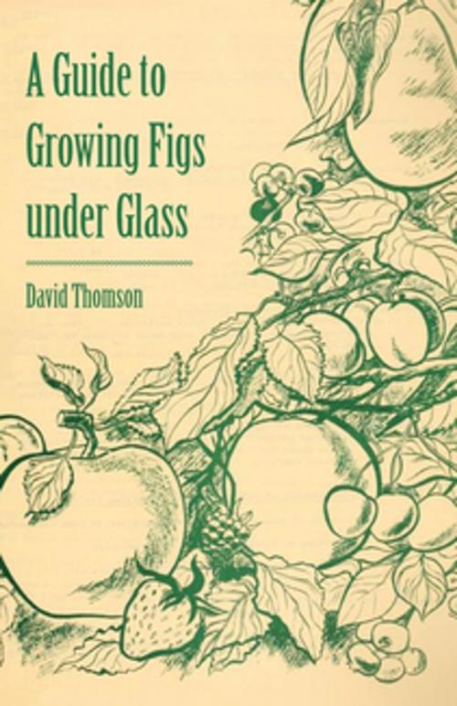 Cover of the book A Guide to Growing Figs Under Glass by David Thomson, Read Books Ltd.