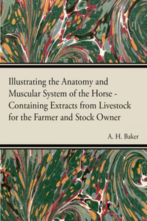 Cover of the book Illustrating the Anatomy and Muscular System of the Horse - Containing Extracts from Livestock for the Farmer and Stock Owner by A. H. Baker, Read Books Ltd.