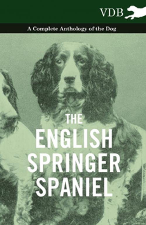 Cover of the book The English Springer Spaniel - A Complete Anthology of the Dog by Various Authors, Read Books Ltd.