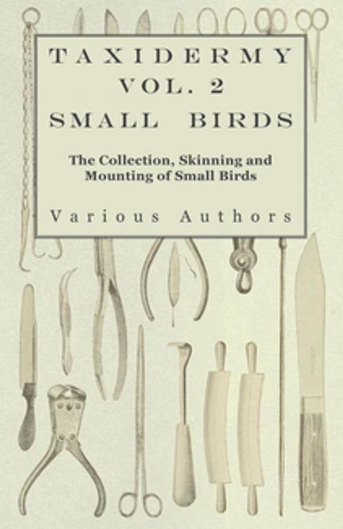 Cover of the book Taxidermy Vol.2 Small Birds - The Collection, Skinning and Mounting of Small Birds by Various Authors, Read Books Ltd.