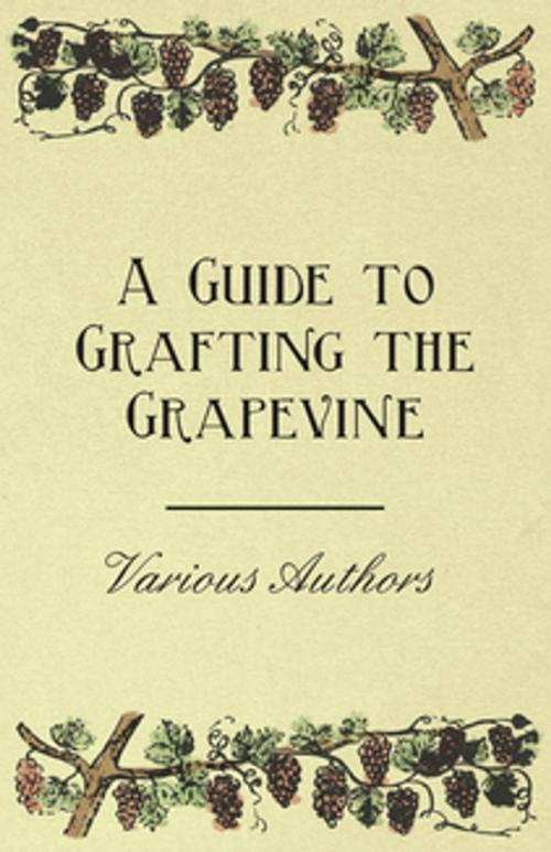 Cover of the book A Guide to Grafting the Grapevine by Various, Read Books Ltd.