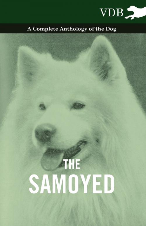 Cover of the book The Samoyed - A Complete Anthology of the Dog by Various Authors, Read Books Ltd.