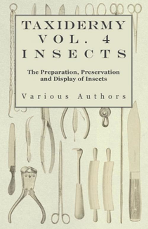 Cover of the book Taxidermy Vol.4 Insects - The Preparation, Preservation and Display of Insects by Various Authors, Read Books Ltd.