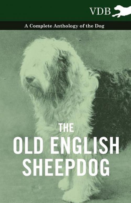 Cover of the book The Old English Sheepdog - A Complete Anthology of the Dog by Various Authors, Read Books Ltd.
