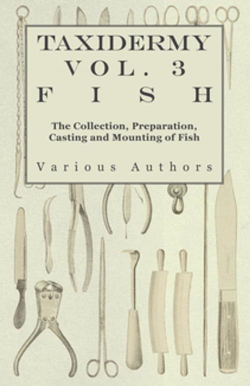 Cover of the book Taxidermy Vol.3 Fish - The Collection, Preparation, Casting and Mounting of Fish by Various Authors, Read Books Ltd.