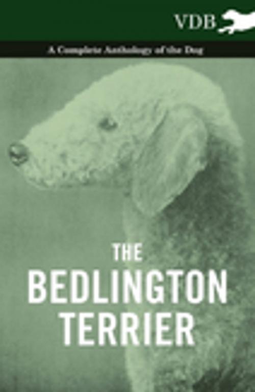 Cover of the book The Bedlington Terrier - A Complete Anthology of the Dog - by Vintage Dog Books, Read Books Ltd.