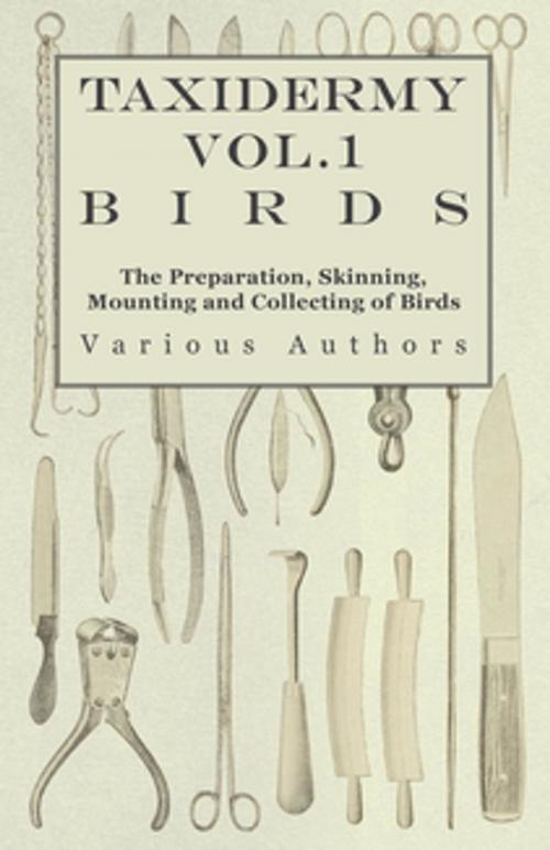 Cover of the book Taxidermy Vol.1 Birds - The Preparation, Skinning, Mounting and Collecting of Birds by Various Authors, Read Books Ltd.