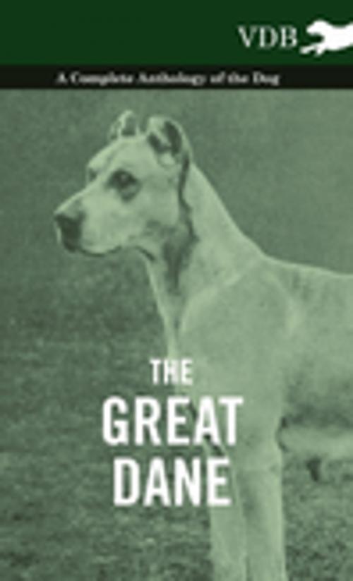 Cover of the book The Great Dane - A Complete Anthology of the Dog by Various Authors, Read Books Ltd.