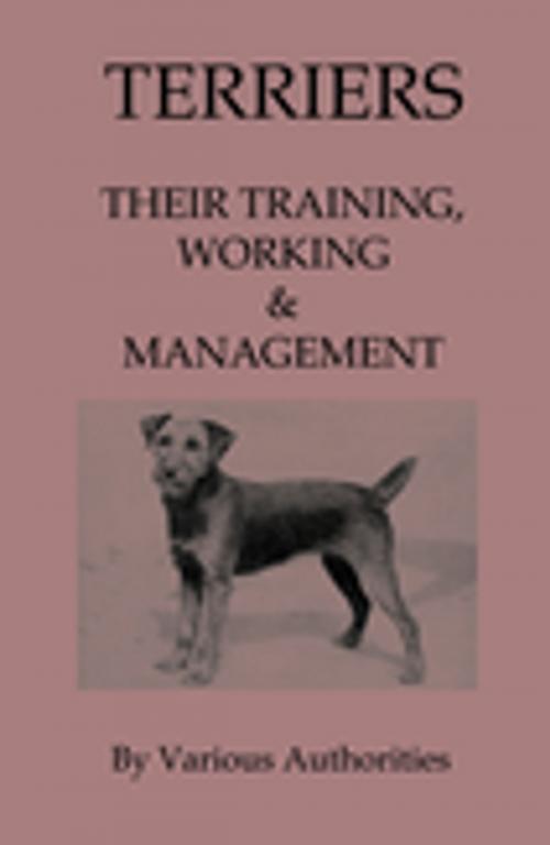 Cover of the book Terriers - Their Training, Work & Management by Various Authors, Read Books Ltd.