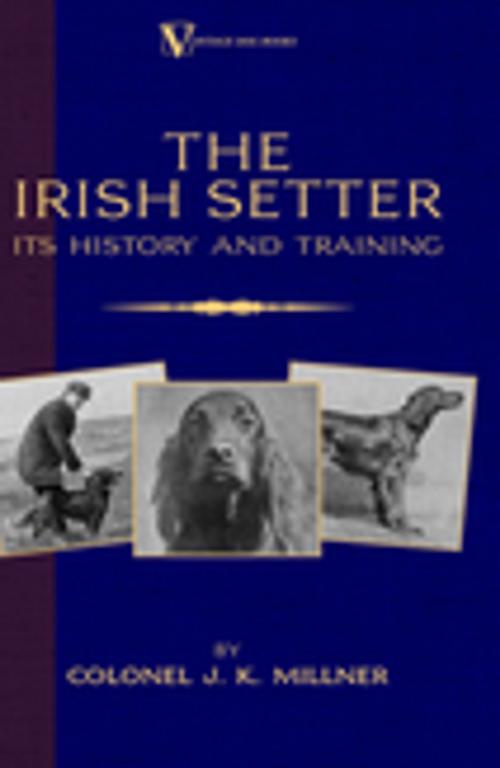 Cover of the book The Irish Setter - Its History & Training (A Vintage Dog Books Breed Classic) by Colonel J. K. Millner, Read Books Ltd.