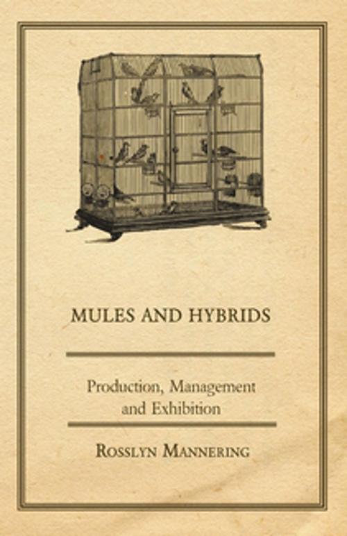 Cover of the book Mules and Hybrids - Production, Management, & Exhibition by Rosslyn Mannering, Read Books Ltd.