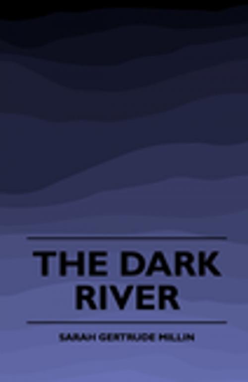 Cover of the book The Dark River (1920) by Sarah Gertrude Millin, Read Books Ltd.