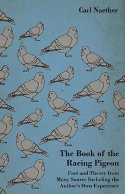 Cover of the book The Book Of The Racing Pigeon - Fact And Theory From Many Source Including The Author's Own Experience by Carl Naether, Read Books Ltd.