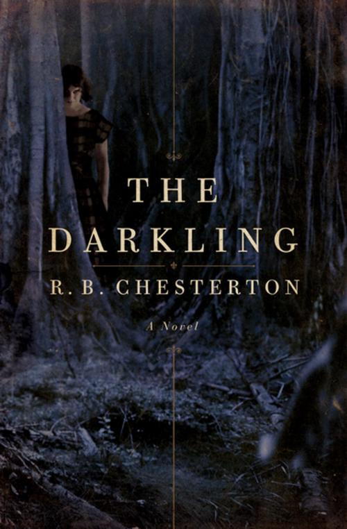 Cover of the book The Darkling by R. B. Chesterton, Pegasus Books