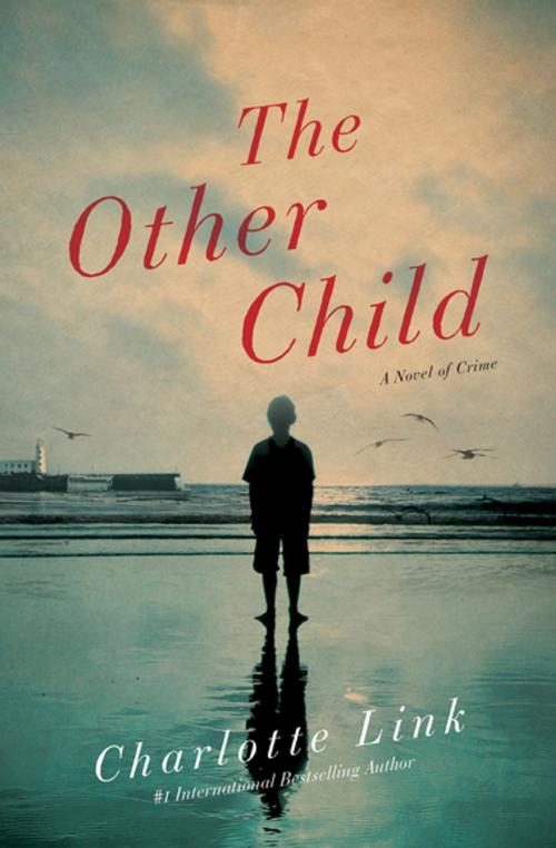 Cover of the book The Other Child by Charlotte Link, Pegasus Books