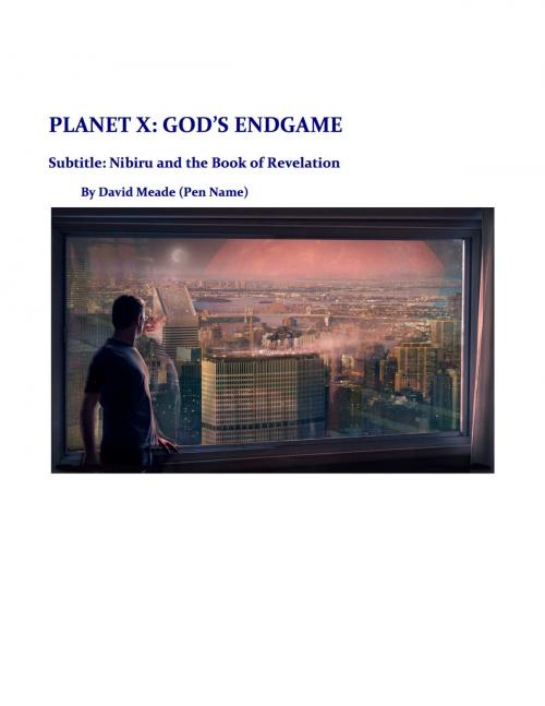 Cover of the book Planet X - God's Endgame by David Meade, eBookIt.com