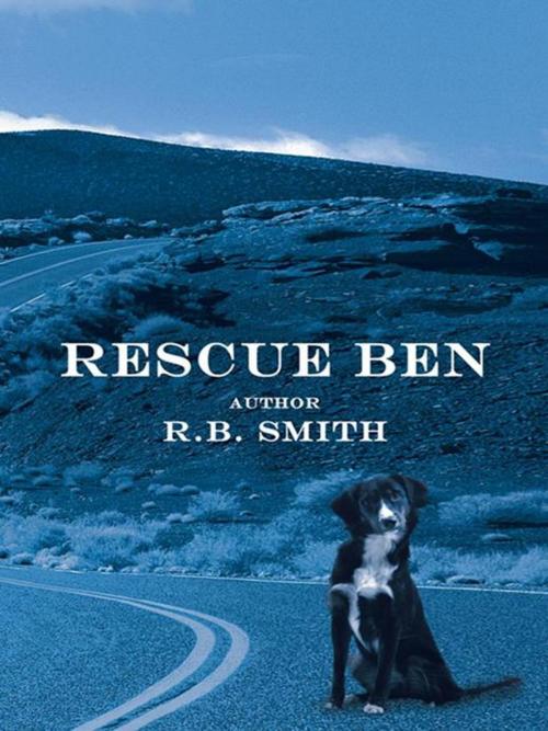Cover of the book Rescue Ben by R. B. Smith, Abbott Press