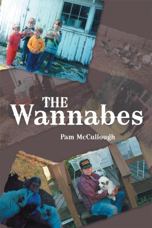 Cover of the book The Wannabes by Pam McCullough, Abbott Press
