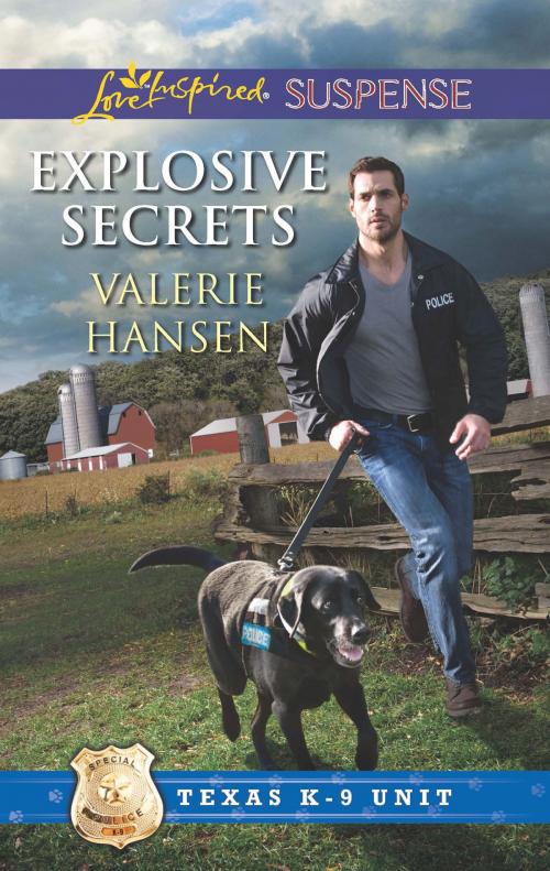Cover of the book Explosive Secrets by Valerie Hansen, Harlequin