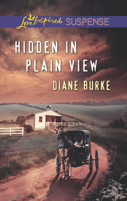 Cover of the book Hidden in Plain View by Diane Burke, Harlequin