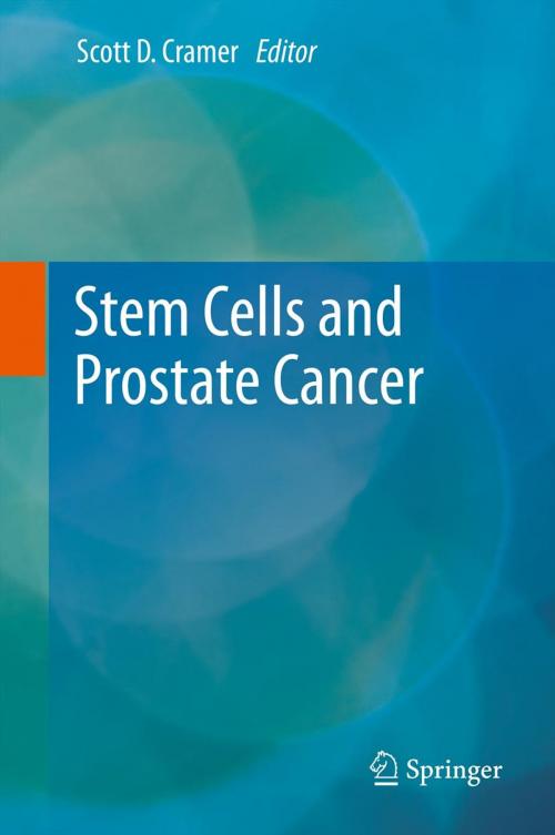 Cover of the book Stem Cells and Prostate Cancer by , Springer New York