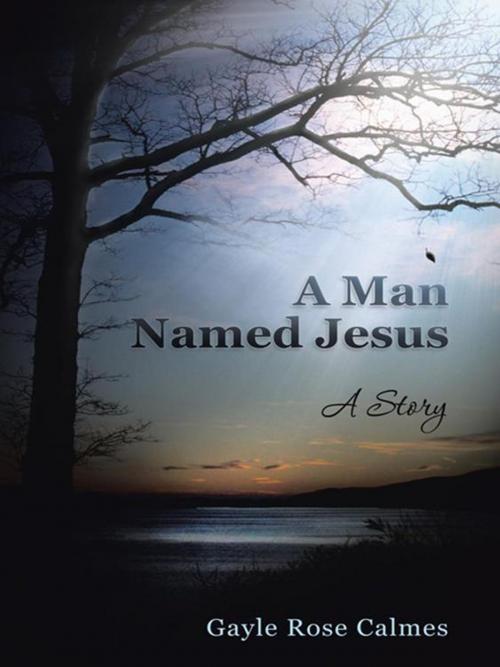 Cover of the book A Man Named Jesus by Gayle Rose Calmes, Inspiring Voices