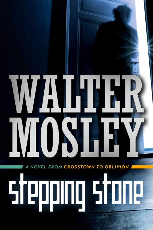 Cover of the book Stepping Stone by Walter Mosley, Tom Doherty Associates