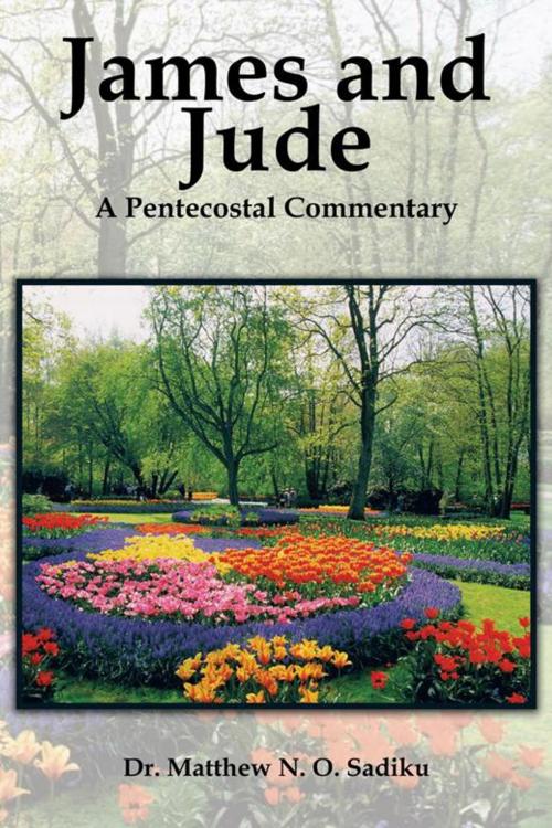 Cover of the book James and Jude by Dr. Matthew N. O. Sadiku, Trafford Publishing