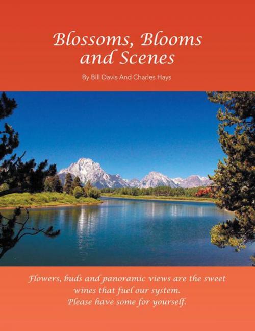 Cover of the book Blossoms, Blooms and Scenes by Charles Hays, Bill Davis, Trafford Publishing