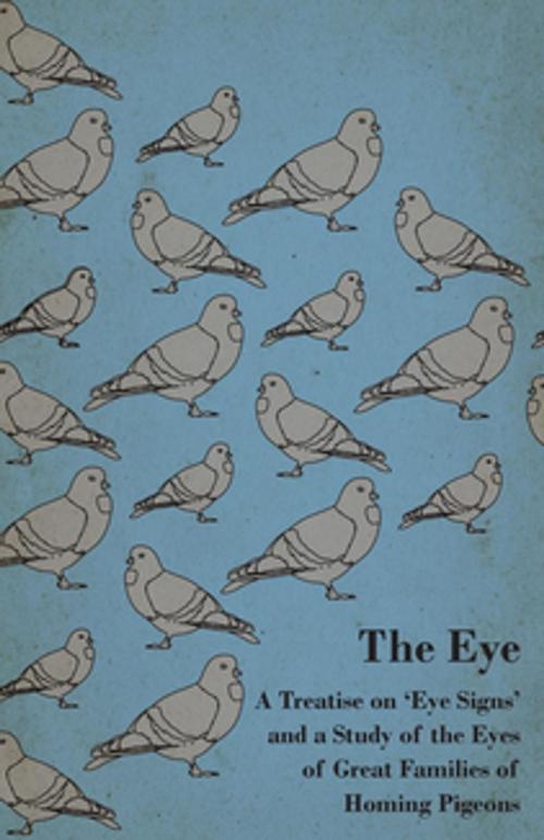 Cover of the book The Eye - A Treatise On 'Eye Signs' And A Study Of The Eyes Of Great Families Of Homing Pigeons by Anon., Read Books Ltd.