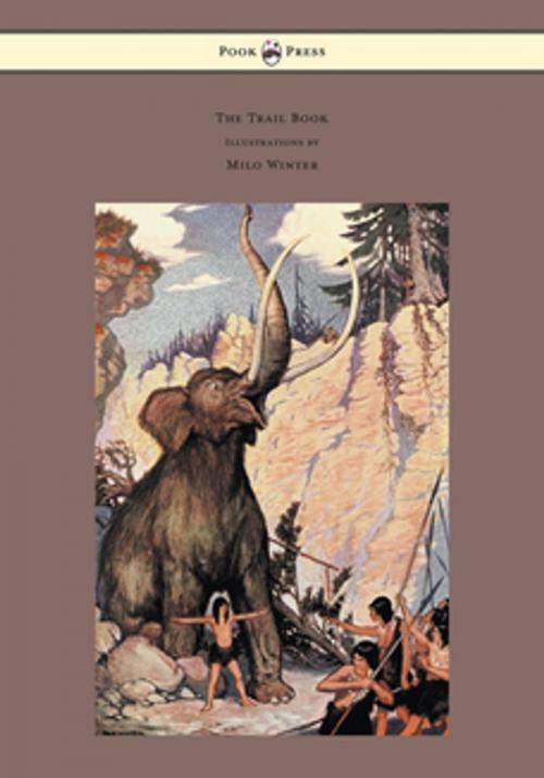Cover of the book The Trail Book - With Illustrations by Milo Winter by Mary Austin, Read Books Ltd.