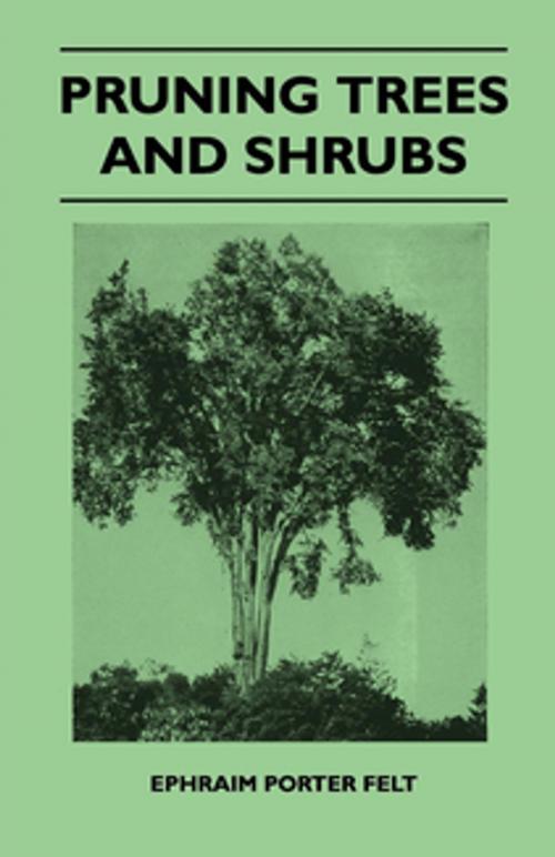 Cover of the book Pruning Trees And Shrubs by Ephraim Porter Felt, Read Books Ltd.