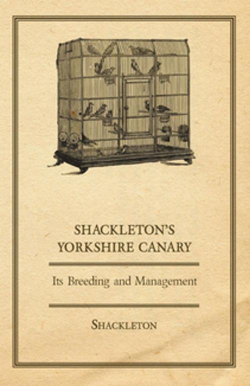 Cover of the book Shackleton's Yorkshire Canary - Its Breeding and Management by Shackleton, Read Books Ltd.