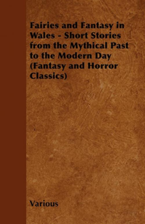 Cover of the book Fairies and Fantasy in Wales - Short Stories from the Mythical Past to the Modern Day (Fantasy and Horror Classics) by Various Authors, Read Books Ltd.