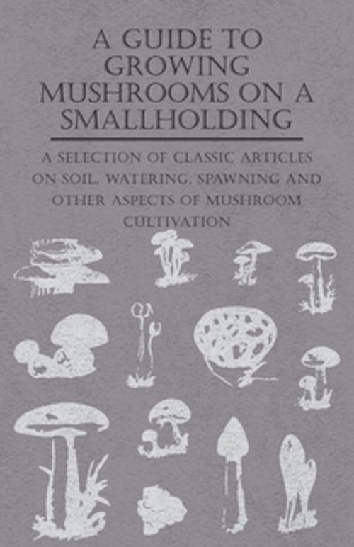 Cover of the book A Guide to Growing Mushrooms on a Smallholding - A Selection of Classic Articles on Soil, Watering, Spawning and Other Aspects of Mushroom Cultivation (Self-Sufficiency Series) by Various Authors, Read Books Ltd.