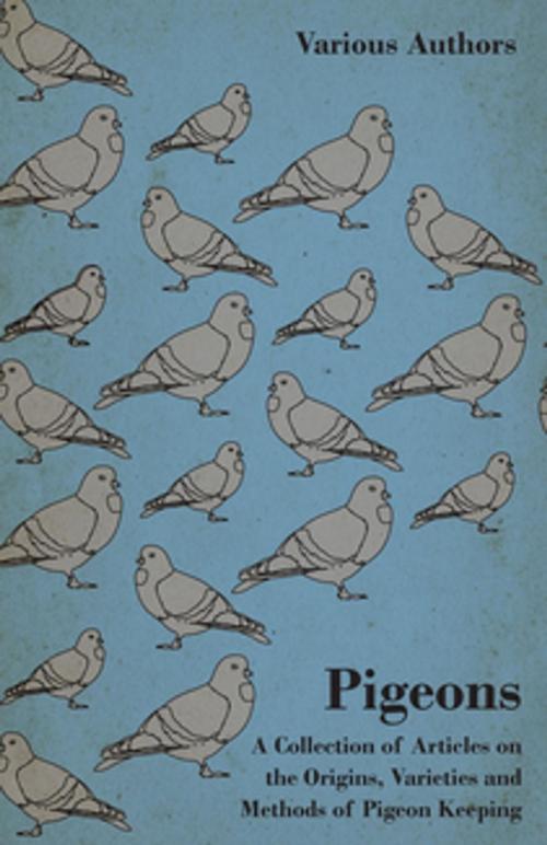 Cover of the book Pigeons - A Collection of Articles on the Origins, Varieties and Methods of Pigeon Keeping by Various Authors, Read Books Ltd.