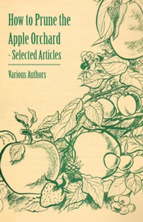 Cover of the book How to Prune the Apple Orchard - Selected Articles by Various, Read Books Ltd.