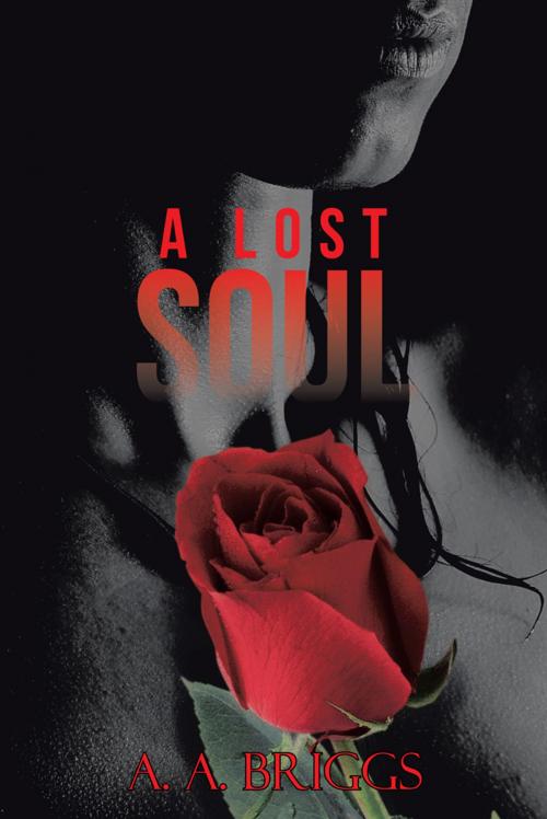 Cover of the book A Lost Soul by A. A. Briggs, iUniverse