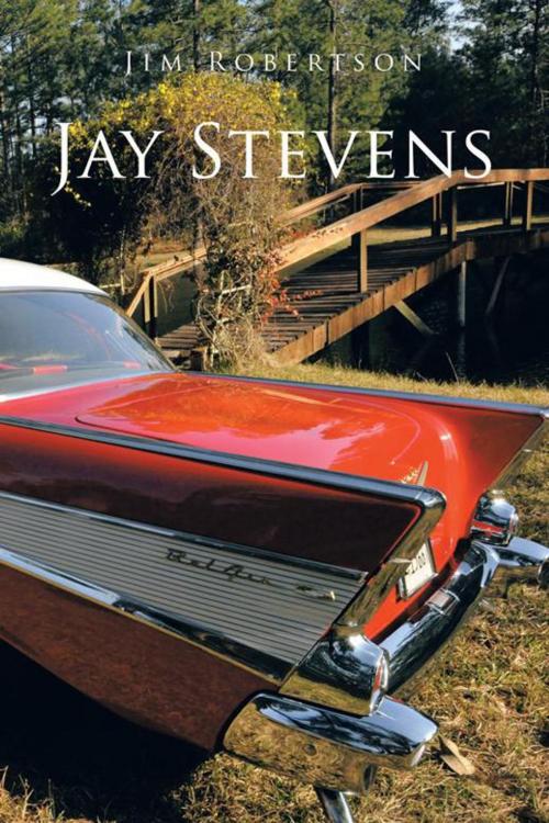 Cover of the book Jay Stevens by Jim Robertson, iUniverse