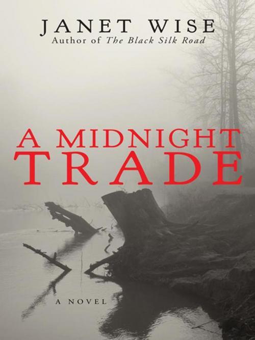Cover of the book A Midnight Trade by Janet Wise, iUniverse