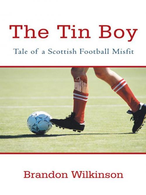 Cover of the book The Tin Boy by Brandon Wilkinson, iUniverse