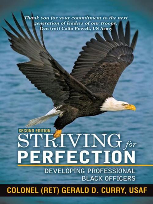 Cover of the book Striving for Perfection by Gerald D. Curry, iUniverse