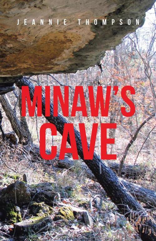 Cover of the book Minaw's Cave by Jeannie Thompson, iUniverse