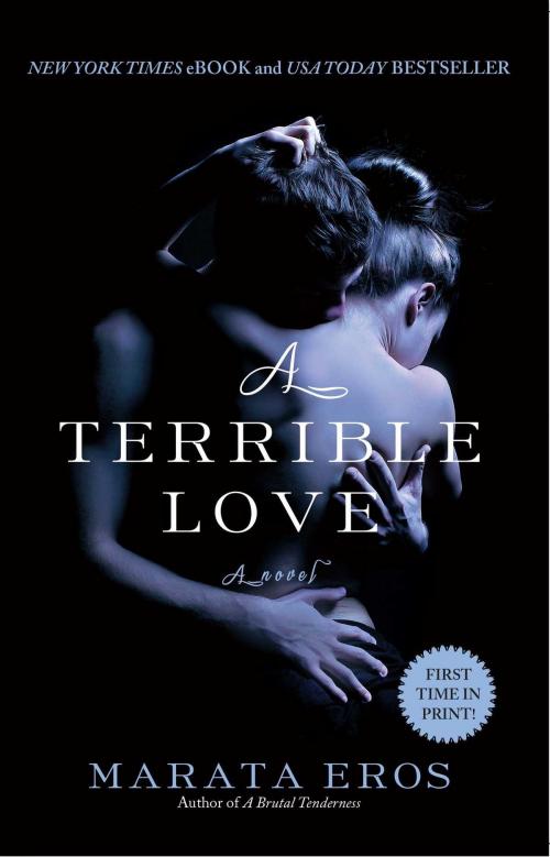 Cover of the book A Terrible Love by Marata Eros, Gallery Books
