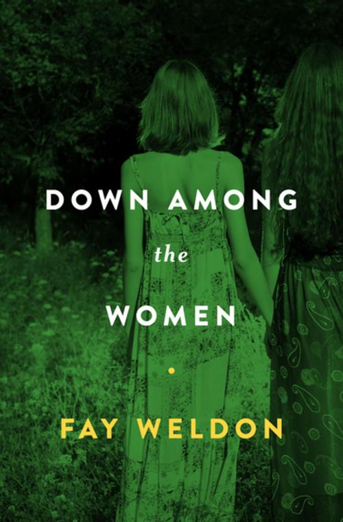 Cover of the book Down Among the Women by Fay Weldon, Open Road Media