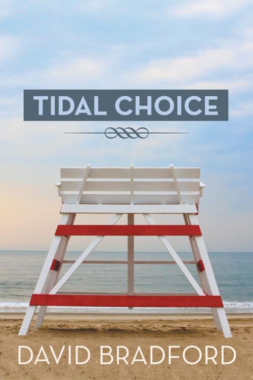 Cover of the book Tidal Choice by David Bradford, AuthorHouse
