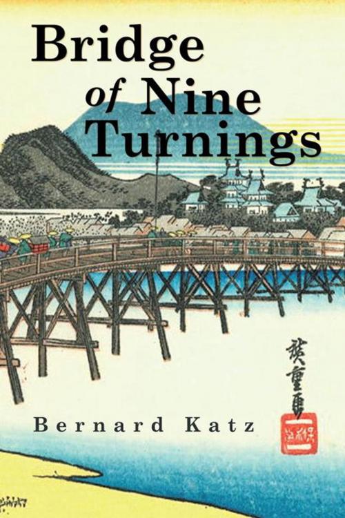 Cover of the book Bridge of Nine Turnings by Bernard Katz, AuthorHouse