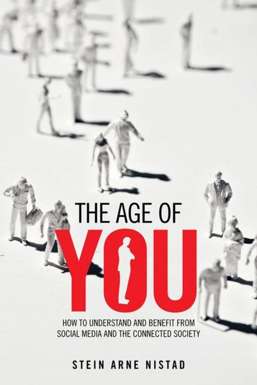 Cover of the book The Age of You by Stein Arne Nistad, AuthorHouse UK